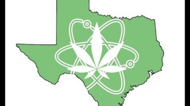 THE LEGAL STATUS OF CANNABIS: TEXAS