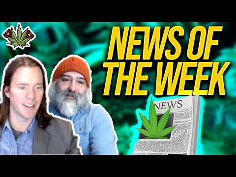 Cannabis News of The Week | Cannabis Legalization News