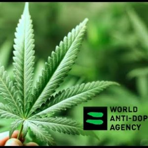 WORLD ANTI-DOPING AGENCY LIFTS CBD BAN