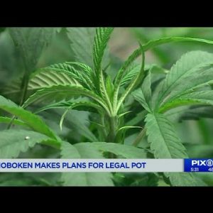 Hoboken makes plans for marijuana legalization at public hearing