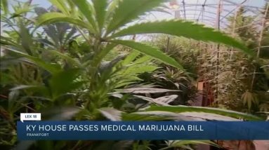 KY House passes medical cannabis bill