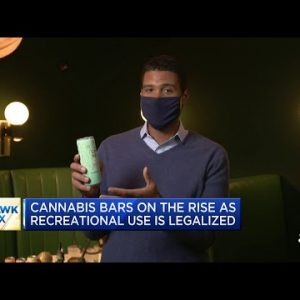 Hashish bars on the rise as recreational spend is legalized