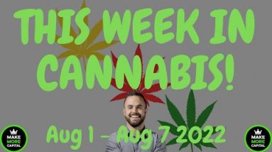 This Week in Cannabis News – Aug 1 to Aug 7 2022