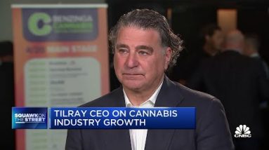 Europe will legalize marijuana over the subsequent One year or so: Tilray CEO