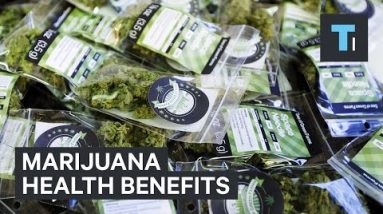 Marijuana Well being Advantages