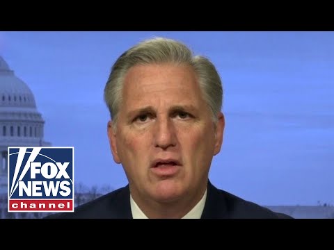 McCarthy unleashes on Dems for prioritizing ‘cats and cannabis, now now not covid’