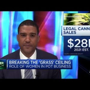 Listed below are some of the girls breaking into the cannabis trade