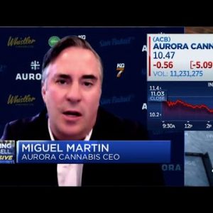 Aurora Hashish CEO discusses outlook of cannabis industry