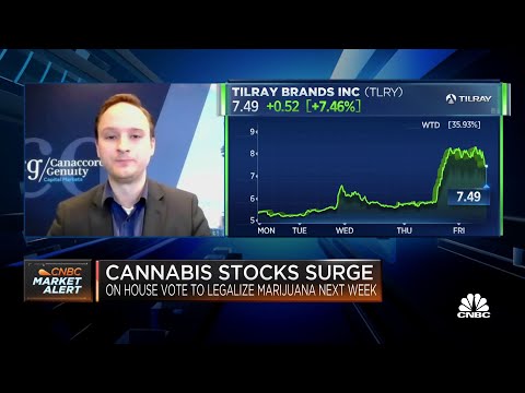 Tailwinds will lastly arrive for cannabis shares: Canaccord Genuity’s Bottomley