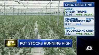 Pot stocks operating high—Here is how or not it is affecting these ETFs