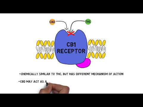 2-Minute Neuroscience: CBD