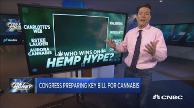 Congress getting ready a key bill for cannabis that may possibly perchance also be industry’s next catalyst